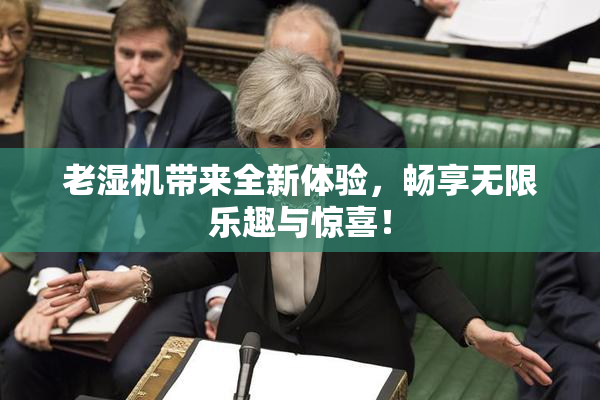老湿机带来全新体验，畅享无限乐趣与惊喜！