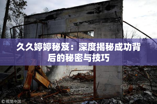 久久婷婷秘笈：深度揭秘成功背后的秘密与技巧
