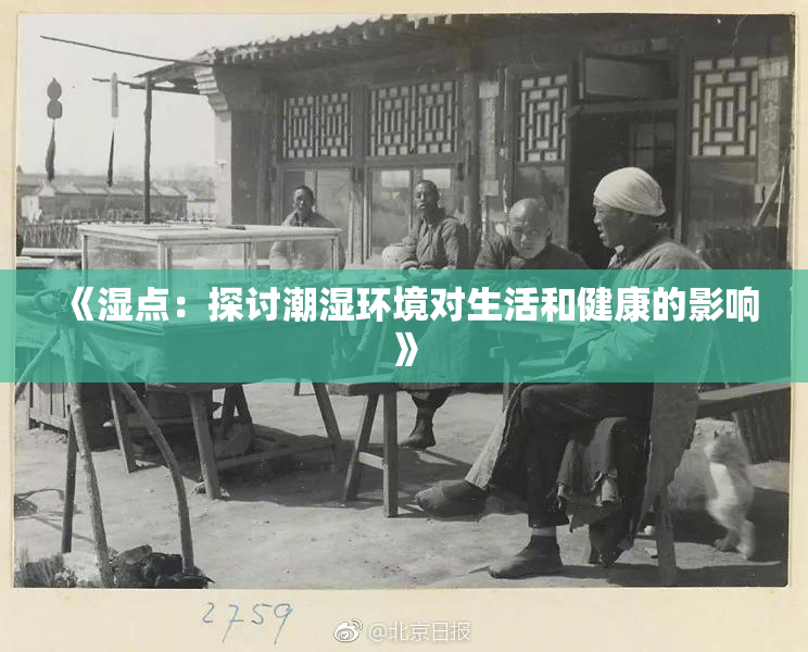 《湿点：探讨潮湿环境对生活和健康的影响》