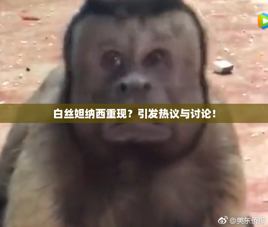 白丝妲纳西重现？引发热议与讨论！