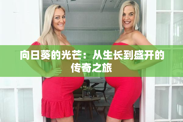 向日葵的光芒：从生长到盛开的传奇之旅