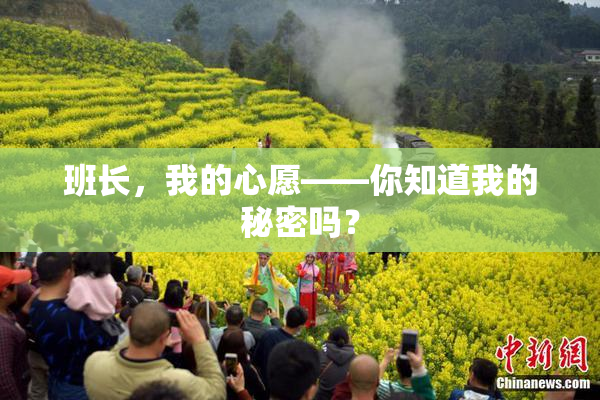 班长，我的心愿——你知道我的秘密吗？