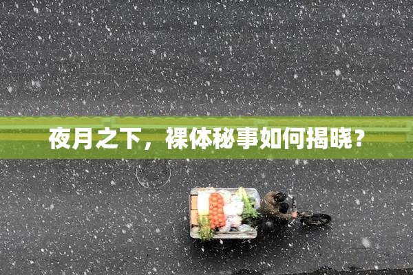 夜月之下，裸体秘事如何揭晓？