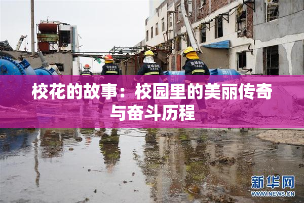 校花的故事：校园里的美丽传奇与奋斗历程