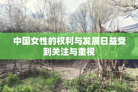 中国女性的权利与发展日益受到关注与重视