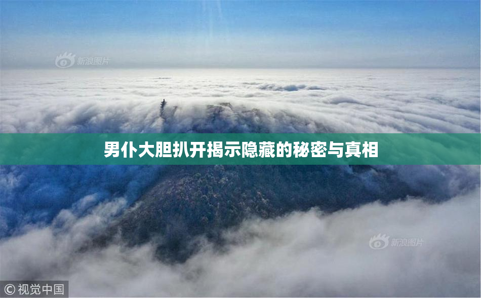 男仆大胆扒开揭示隐藏的秘密与真相