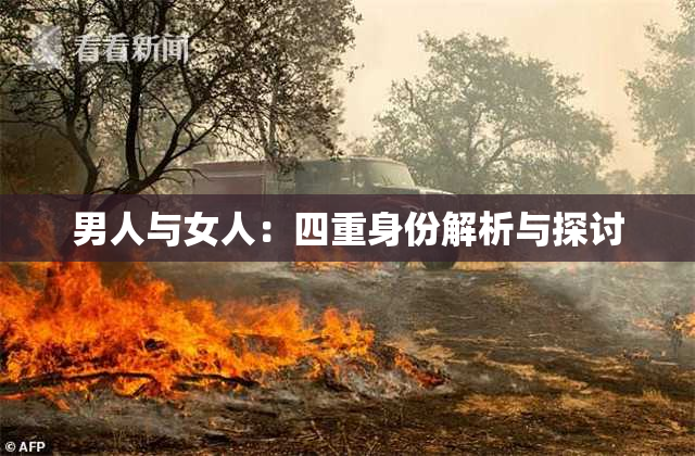 男人与女人：四重身份解析与探讨