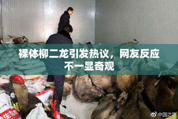 裸体柳二龙引发热议，网友反应不一显奇观