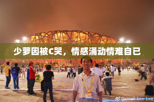 少萝因被C哭，情感涌动情难自已