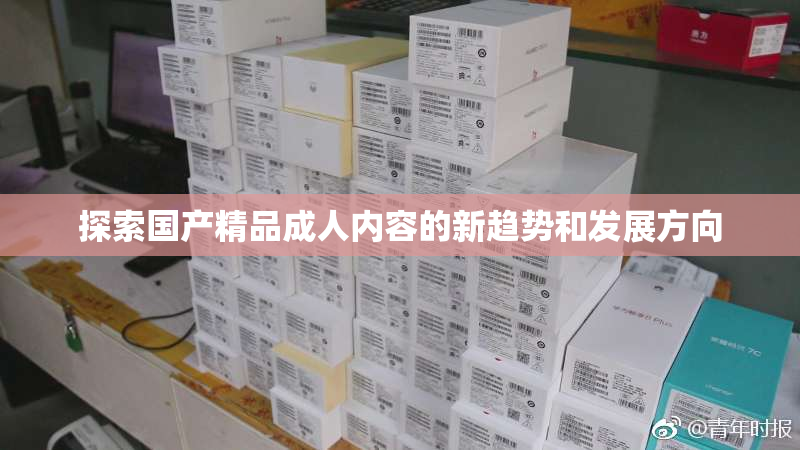 探索国产精品成人内容的新趋势和发展方向