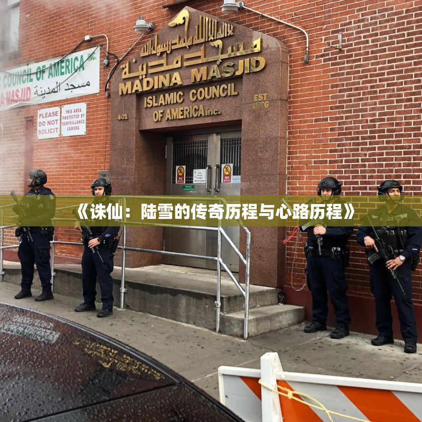 《诛仙：陆雪的传奇历程与心路历程》