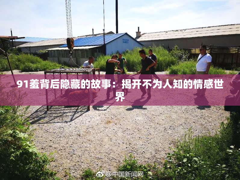 91羞背后隐藏的故事：揭开不为人知的情感世界