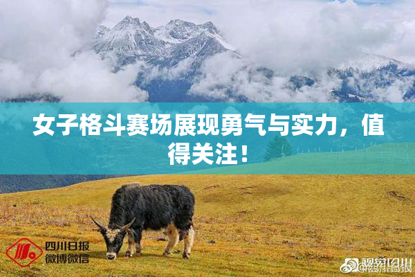 女子格斗赛场展现勇气与实力，值得关注！