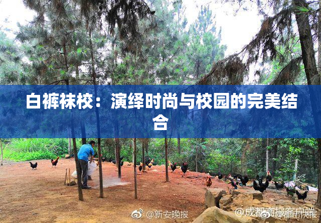 白裤袜校：演绎时尚与校园的完美结合