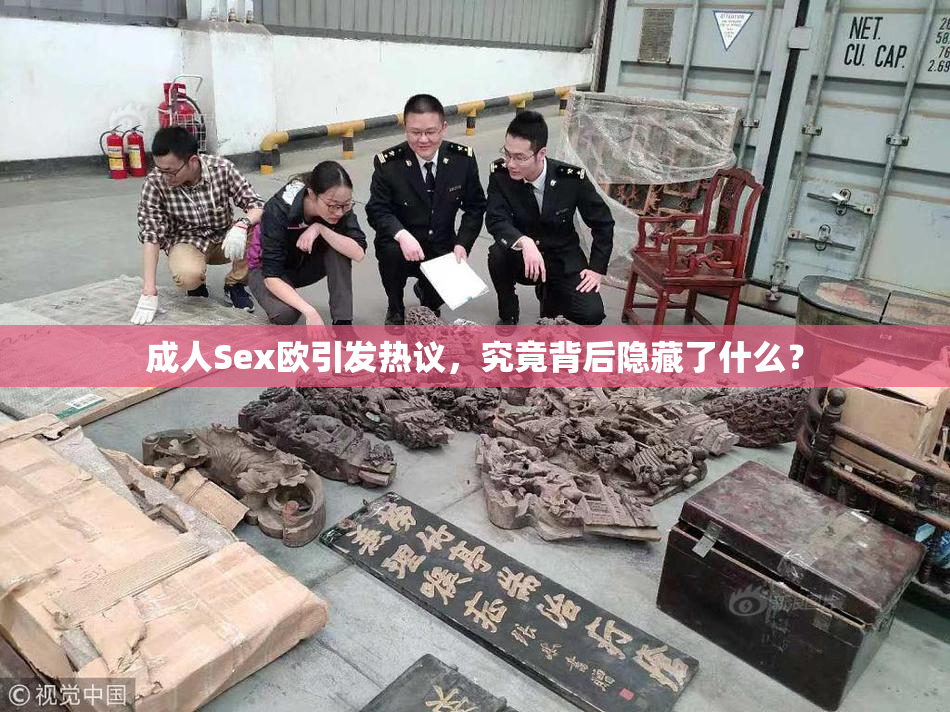 成人Sex欧引发热议，究竟背后隐藏了什么？