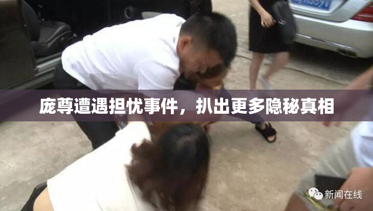 庞尊遭遇担忧事件，扒出更多隐秘真相