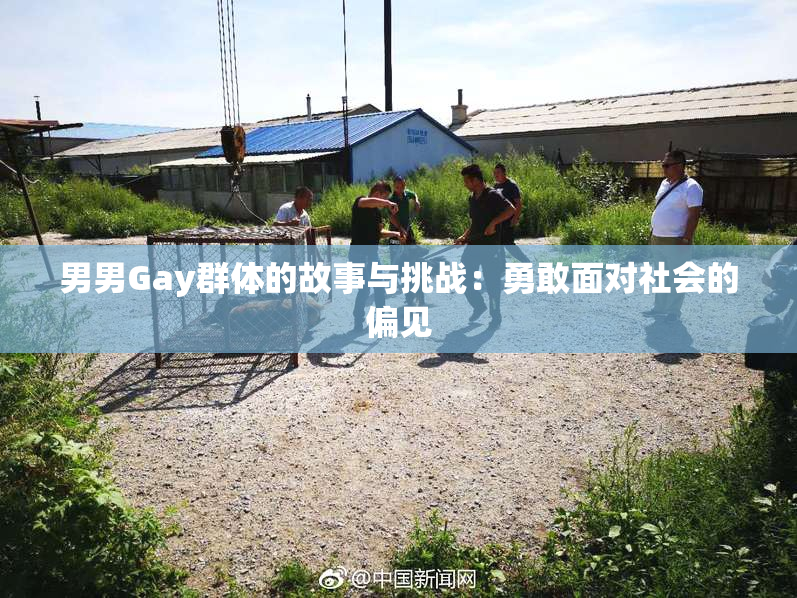 男男Gay群体的故事与挑战：勇敢面对社会的偏见
