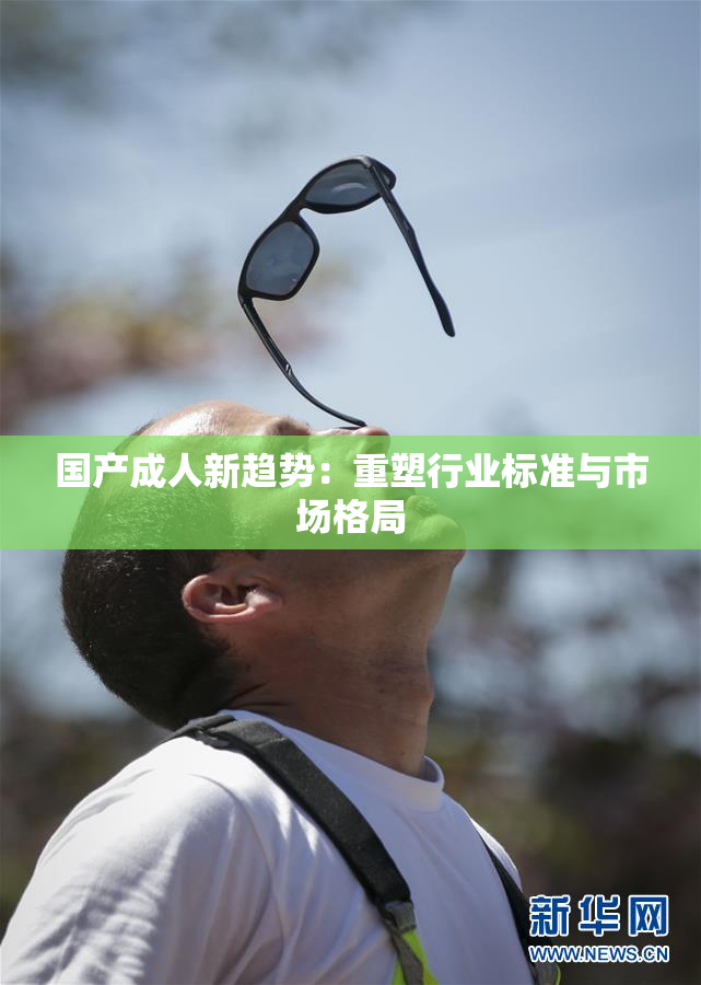 国产成人新趋势：重塑行业标准与市场格局