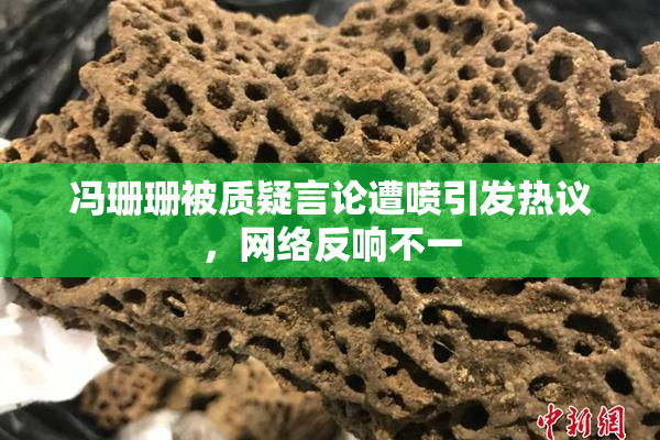 冯珊珊被质疑言论遭喷引发热议，网络反响不一