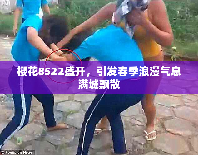 樱花8522盛开，引发春季浪漫气息满城飘散