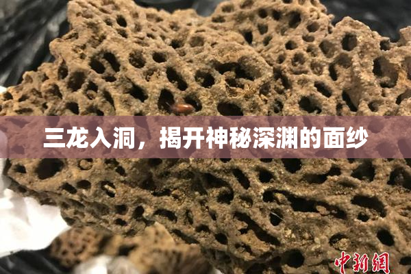 三龙入洞，揭开神秘深渊的面纱