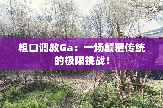 粗口调教Ga：一场颠覆传统的极限挑战！