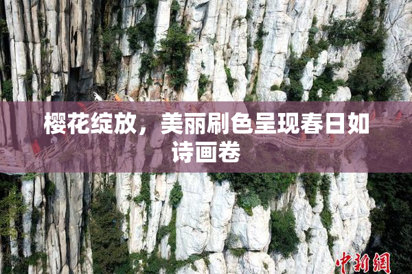 樱花绽放，美丽刷色呈现春日如诗画卷