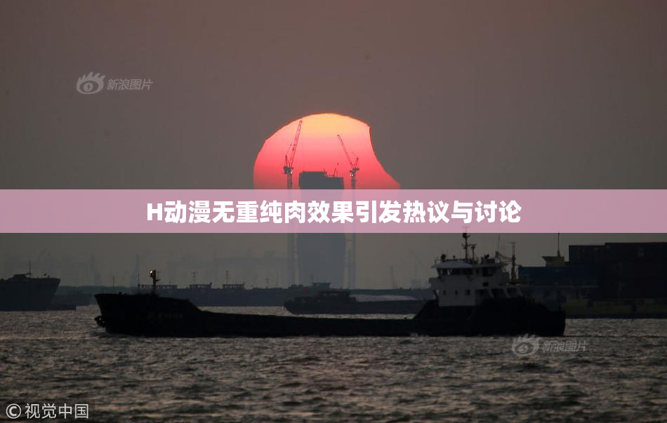 H动漫无重纯肉效果引发热议与讨论