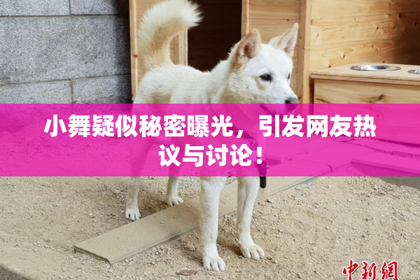 小舞疑似秘密曝光，引发网友热议与讨论！