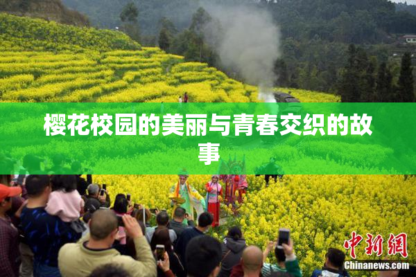 樱花校园的美丽与青春交织的故事