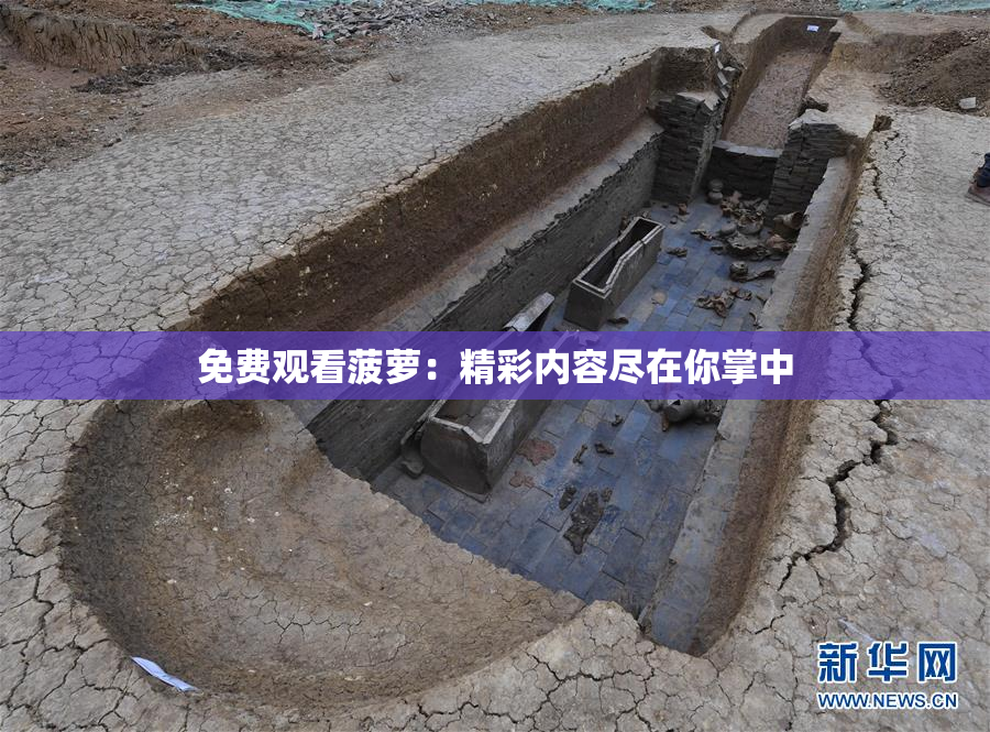 免费观看菠萝：精彩内容尽在你掌中