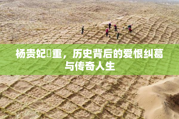 杨贵妃婬重，历史背后的爱恨纠葛与传奇人生