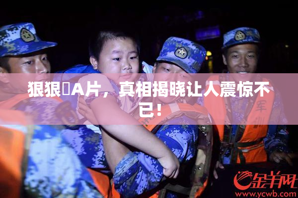 狠狠穞A片，真相揭晓让人震惊不已！