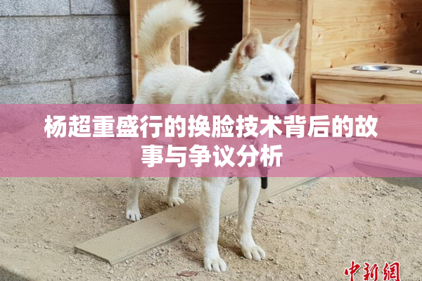 杨超重盛行的换脸技术背后的故事与争议分析