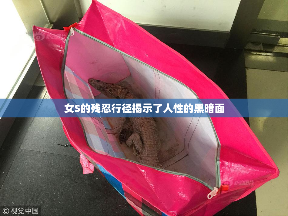 女S的残忍行径揭示了人性的黑暗面