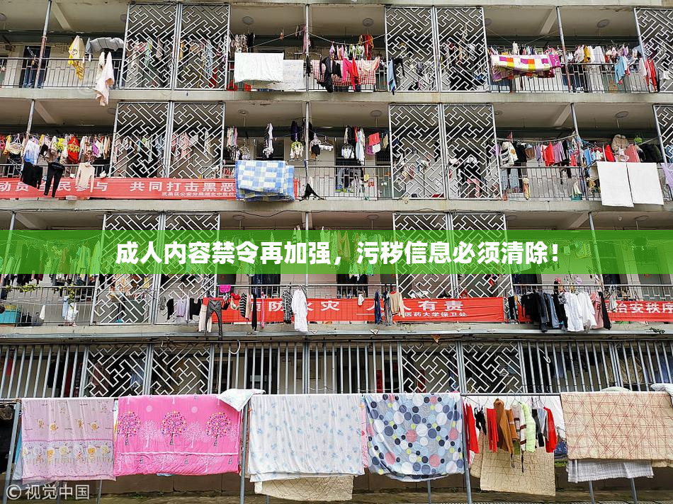 成人内容禁令再加强，污秽信息必须清除！