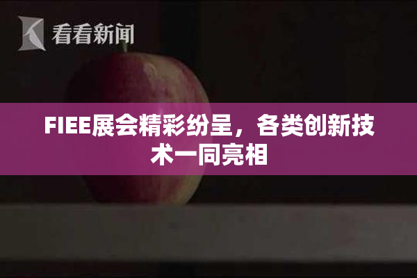 FIEE展会精彩纷呈，各类创新技术一同亮相