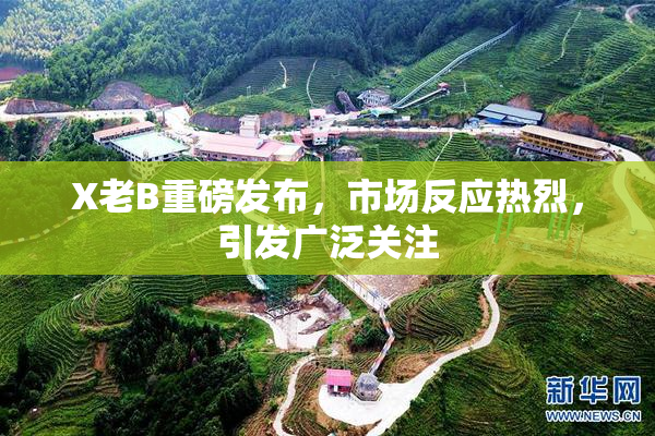 X老B重磅发布，市场反应热烈，引发广泛关注