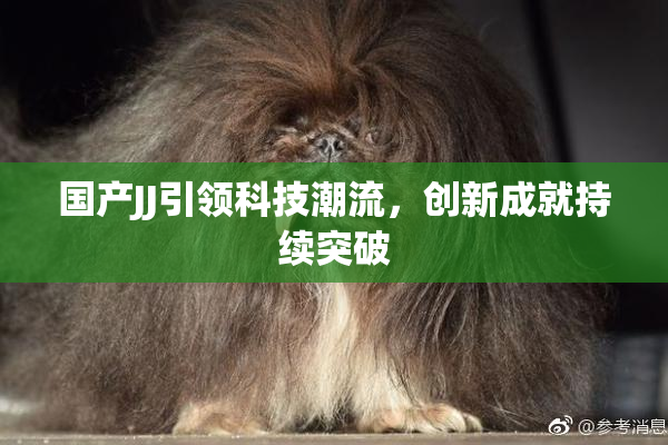 国产JJ引领科技潮流，创新成就持续突破