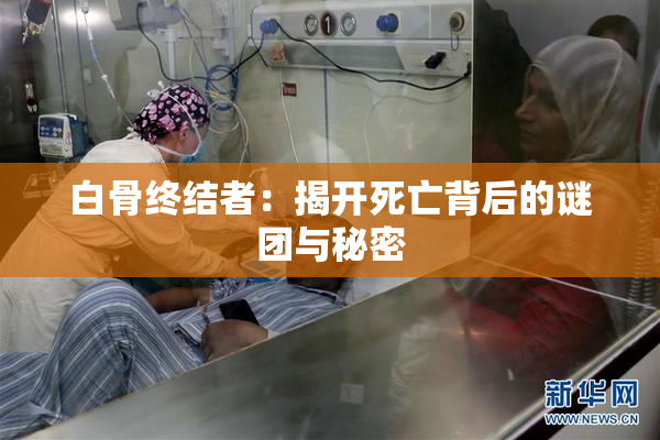 白骨终结者：揭开死亡背后的谜团与秘密