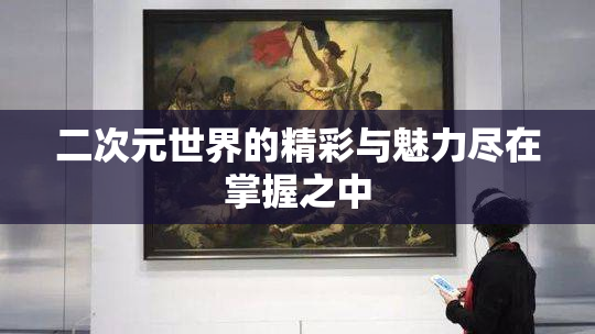 二次元世界的精彩与魅力尽在掌握之中