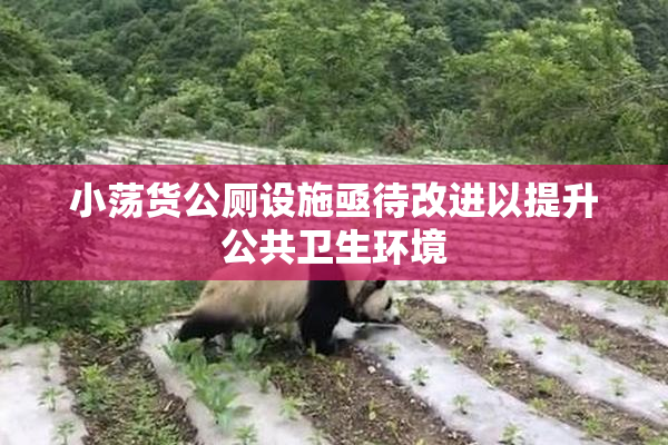 小荡货公厕设施亟待改进以提升公共卫生环境