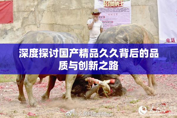 深度探讨国产精品久久背后的品质与创新之路