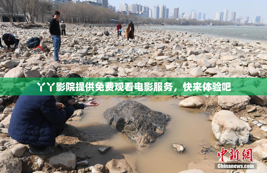 丫丫影院提供免费观看电影服务，快来体验吧