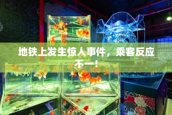 地铁上发生惊人事件，乘客反应不一！