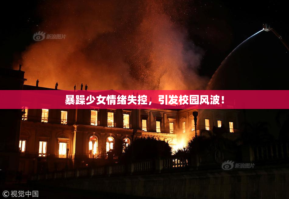 暴躁少女情绪失控，引发校园风波！