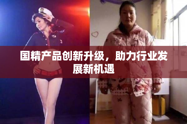 国精产品创新升级，助力行业发展新机遇