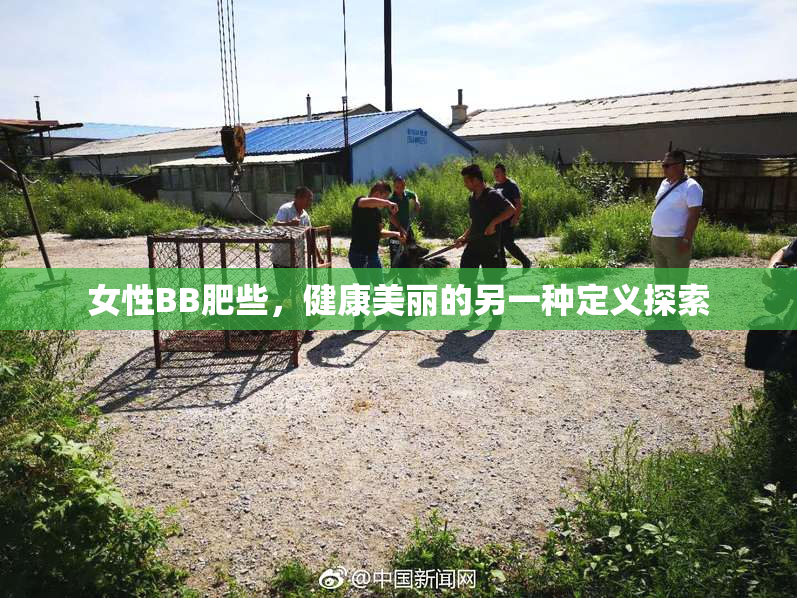 女性BB肥些，健康美丽的另一种定义探索