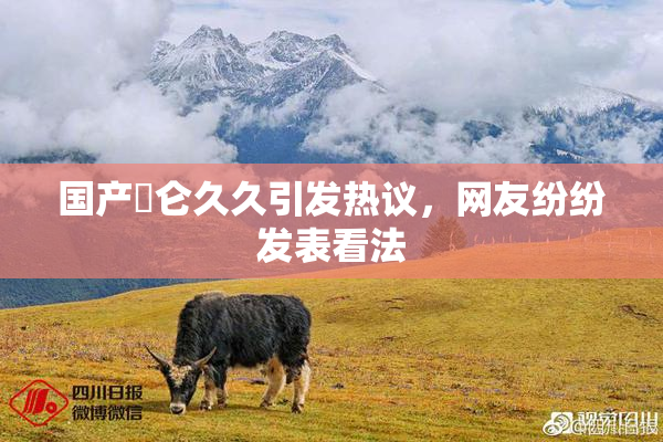 国产婬仑久久引发热议，网友纷纷发表看法