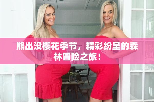熊出没樱花季节，精彩纷呈的森林冒险之旅！